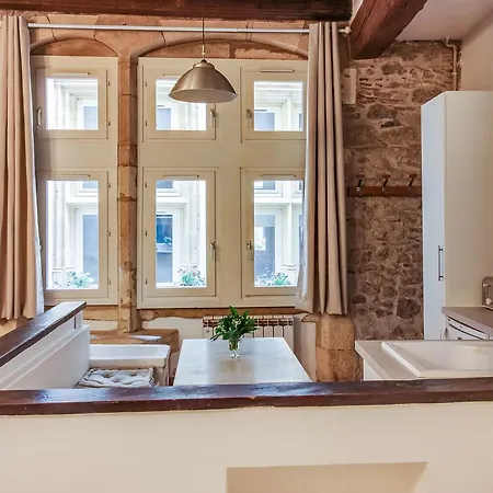 The Charming Place In Vieux-lyon Apartment *